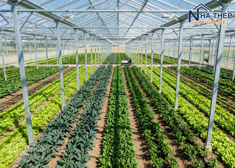 Nhà kính khung thép là gì? Tất tần tật về ưu nhược điểm, chi phí và ứng dụng hiện nay