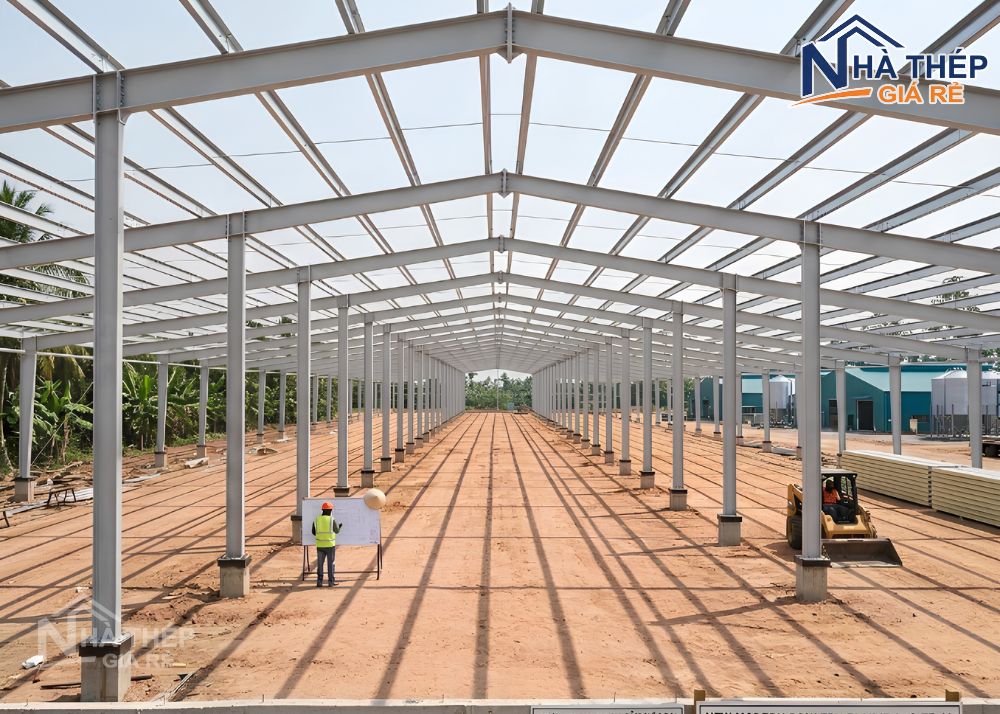 Báo giá thi công trang trại khung thép trọn gói cập nhật mới nhất