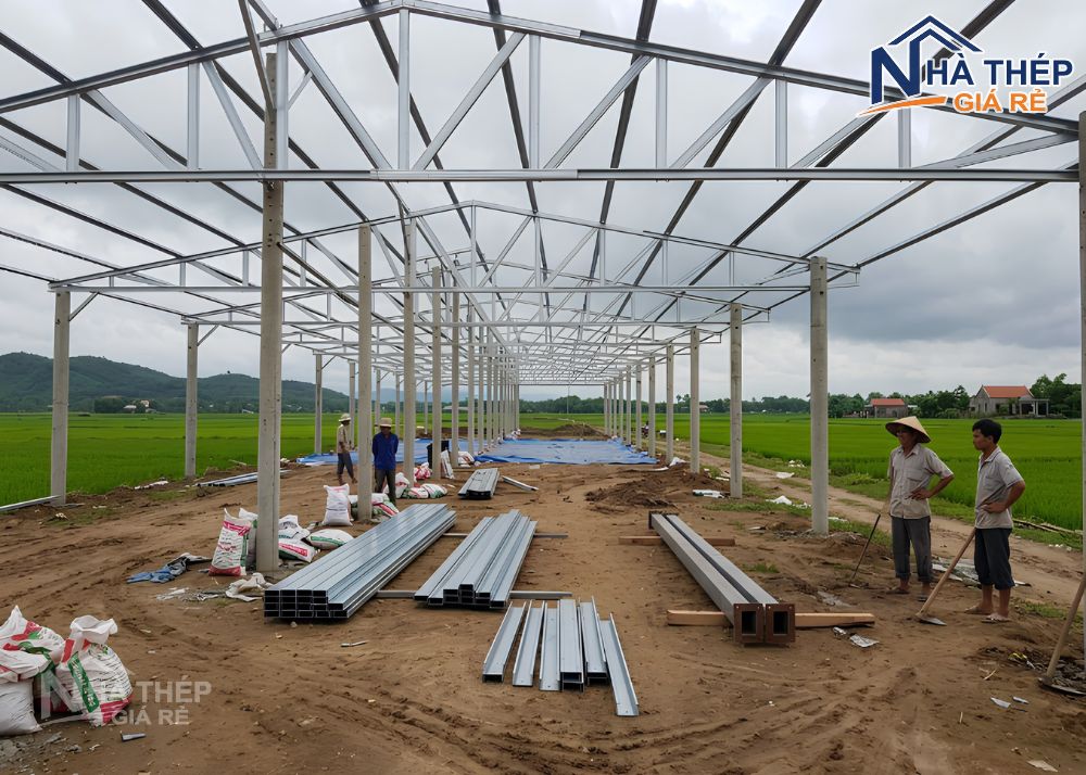 Đơn vị thi công trang trại khung thép trọn gói, giá rẻ và uy tín