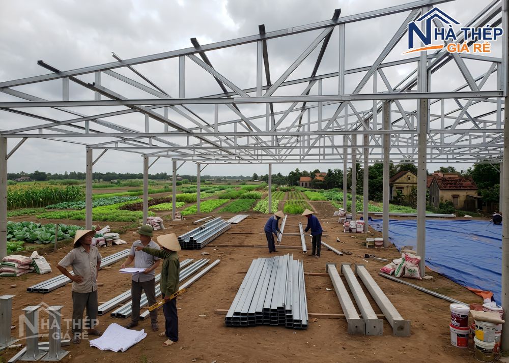 Trang trại khung thép có rẻ không? Những yếu tố ảnh hưởng đến chi phí thi công