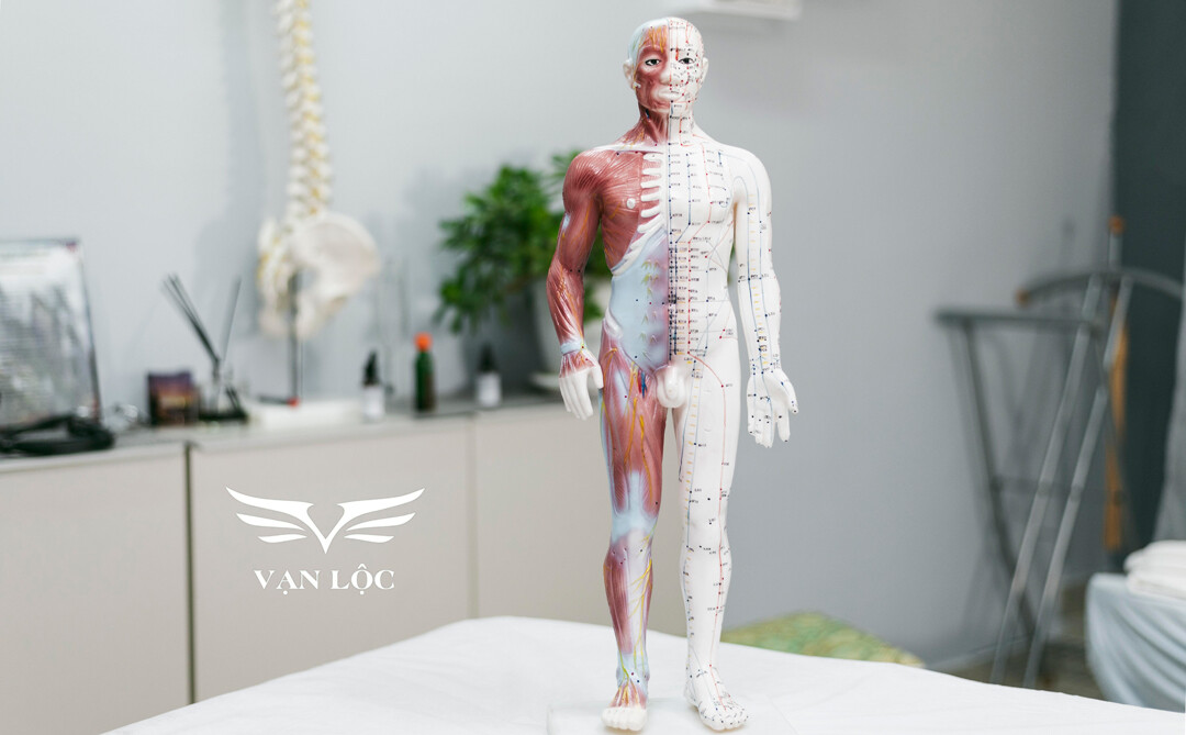 ưu điểm của ứng dụng in 3d mô hình giải phẫu